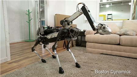 Robot thú cưng làm việc nhà