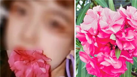 Cô gái suýt chết vì học theo trào lưu chụp ảnh ngậm hoa Cô gái suýt chết vì học theo trào lưu chụp ảnh ngậm hoa